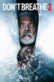 Yify Don’t Breathe 2 2021