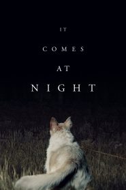 Yify It Comes at Night 2017