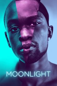 Yify Moonlight 2016