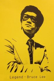 Yify The Brilliant Life of Bruce Lee 2009