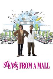 Yify Scenes from a Mall 1991