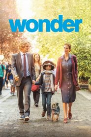 Yify Wonder 2017