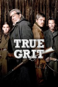 Yify True Grit 2010