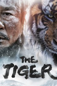 Yify The Tiger 2015
