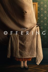 Yify The Offering 2022
