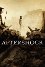 Yify Aftershock 2010