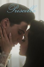 Yify Priscilla 2023