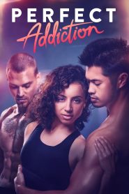 Yify Perfect Addiction 2023