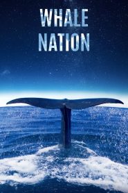Yify Whale Nation 2023