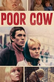 Yify Poor Cow 1967