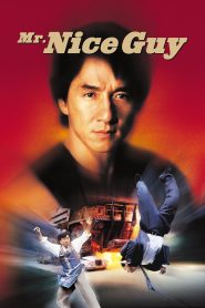 Yify Mr. Nice Guy 1997