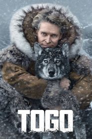 Yify Togo 2019