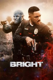 Yify Bright 2017