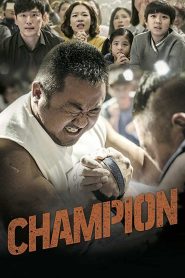Yify Champion 2018