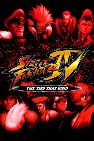 Yify Street Fighter IV: The Ties That Bind 2009