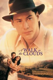 Yify A Walk in the Clouds 1995