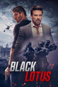 Yify Black Lotus 2023