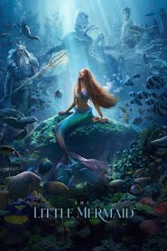Yify The Little Mermaid 2023