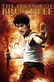 Yify The Legend of Bruce Lee 2009