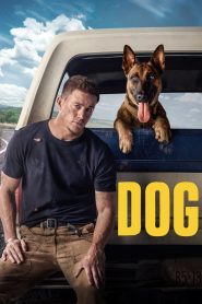 Yify Dog 2022