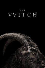 Yify The Witch 2016