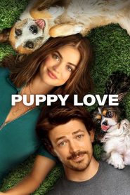 Yify Puppy Love 2023