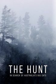 Yify The Hunt: In Search of Australia’s Big Cats 2021