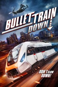 Yify Bullet Train Down 2022
