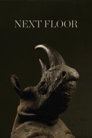 Yify Next Floor 2008