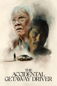 Yify The Accidental Getaway Driver 2025
