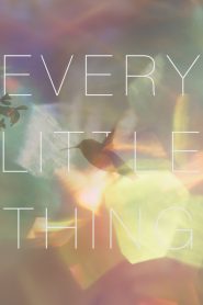 Yify Every Little Thing 2025