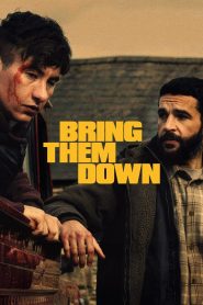 Yify Bring Them Down 2025