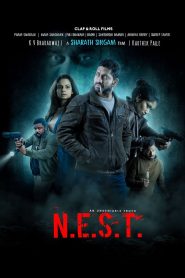 Yify N.E.S.T. 2025