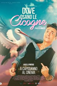 Yify Dove osano le cicogne 2025
