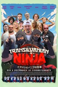 Yify Transilvanian Ninja 2024