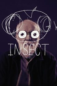 Yify Insect 2018