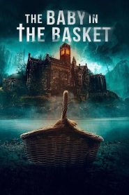 Yify The Baby in the Basket 2025