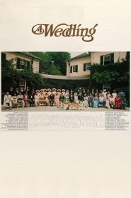 Yify A Wedding 1978