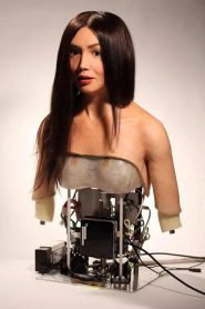Yify How to Build a Human 2016