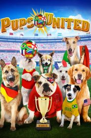 Yify Pups United 2015