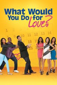 Yify What Would You Do for Love 2013
