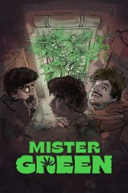 Yify Mister Green 2024