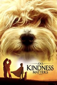 Yify Kindness Matters 2018