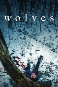Yify Wolves 2022