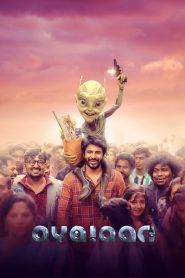 Yify Ayalaan 2024