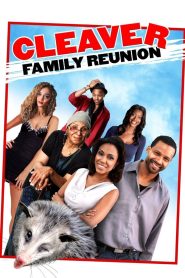 Yify Cleaver Family Reunion 2013