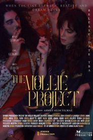 Yify The Mollie Project 2025