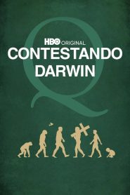 Yify Questioning Darwin 2014
