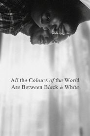 Yify All the Colours of the World Are Between Black and White 2023