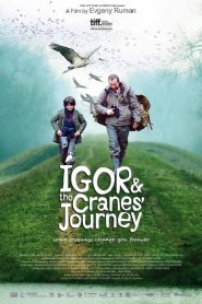 Yify Igor & the Cranes’ Journey 2012